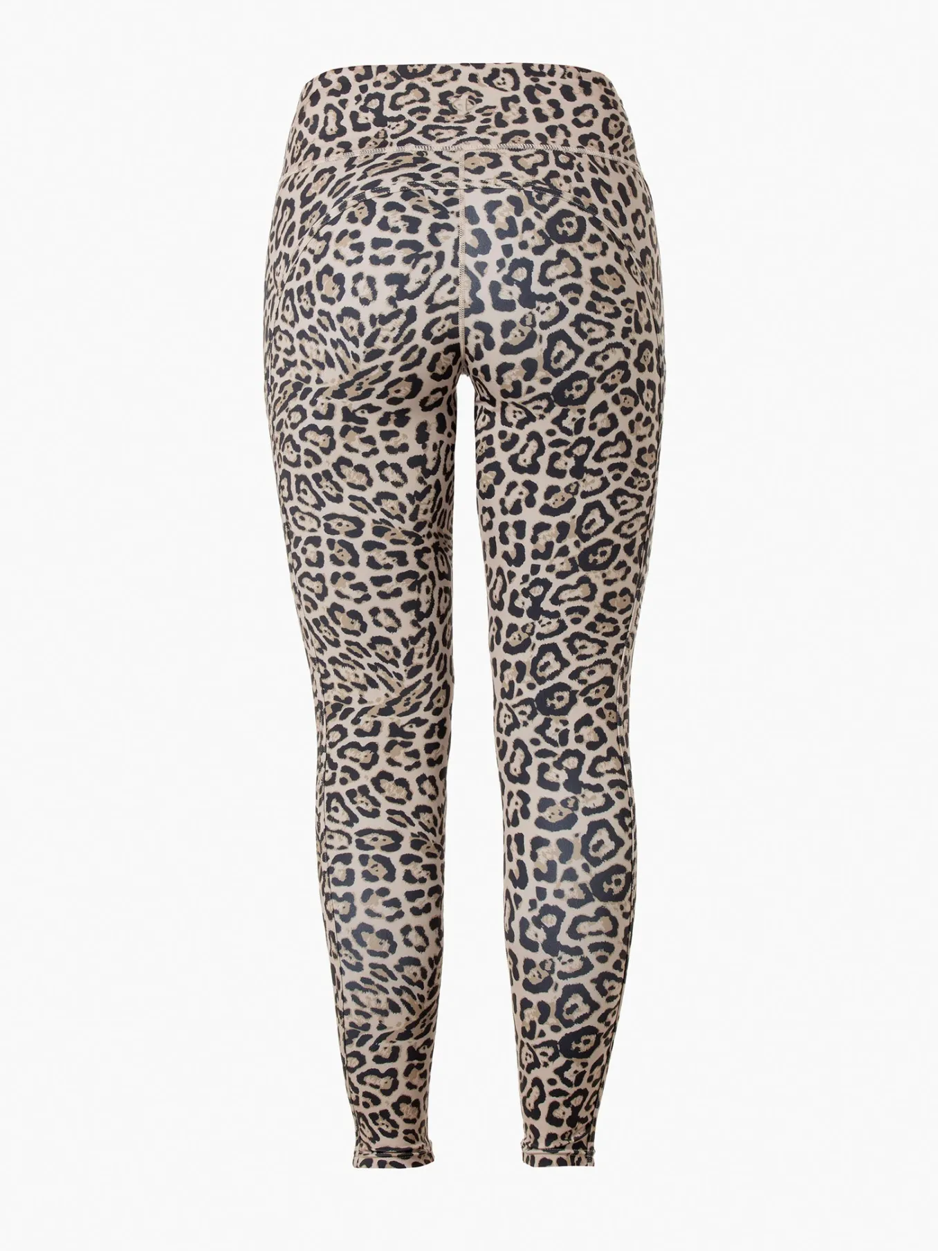 Goldbergh MARCIA Tight jaguar Outlet
